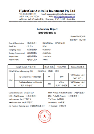 检测报告